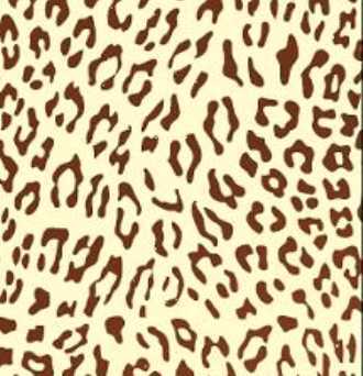 81784-leopard